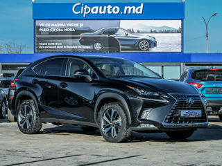 Lexus NX Series