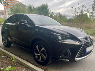 Lexus NX Series foto 6