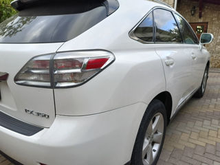 Lexus RX Series