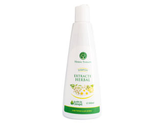 Șampon cu extracte Herbal (pentru păr sănătos și hidratat) 300ml
