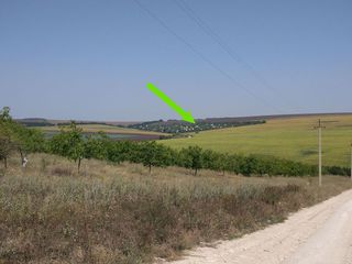 Lot 12 ari cu căsuță. Masivul de vile Berpalox, situat Pașcani, r-l Criuleni, 25 km din Chișinău. foto 1