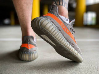 Adidas Yeezy Boost 350 Beluga foto 9