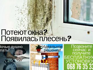 Что делать когда потеют окна и сырость.