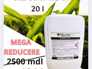 Erbicid Glifosat 480 g / l foto 1