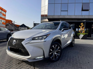 Lexus NX Series