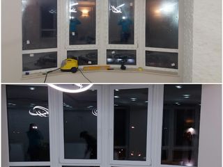 Servicii de menajerie Cele mai avantajoase preturi pentru cea mai inalta calitate!!!