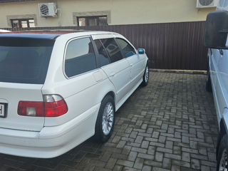 BMW 5 Series foto 5