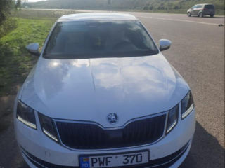 Skoda Octavia foto 3