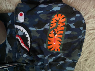 BAPE foto 6