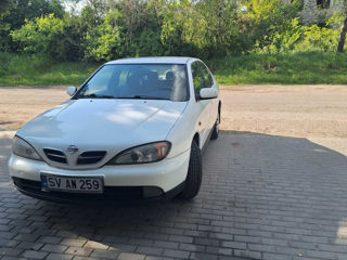 Nissan Primera foto 2