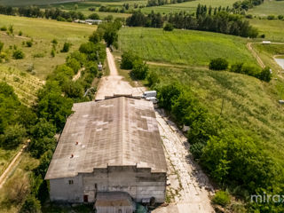 Se vinde afacere activă în s. Dolna, Strășeni, Chișinău foto 2