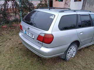 Nissan Primera foto 2