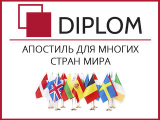 Бюро переводов Diplom в Бельцах: ул. Хотинская, 17. Апостиль. Нотариальный перевод. foto 9