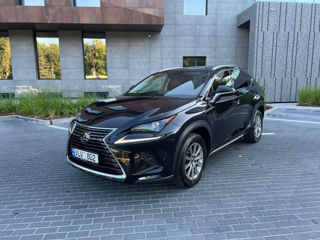 Lexus NX Series