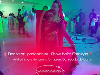 Show de lumini, fum greu, Dj, artificii. Flamingo-show.md foto 6