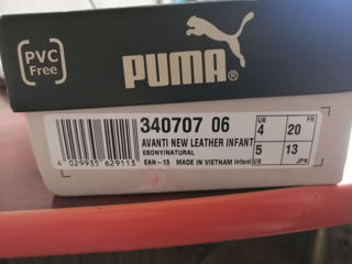 Puma foto 2
