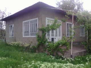 Se vinde urgent casă în satul Răuțel, raionul Fălești foto 3