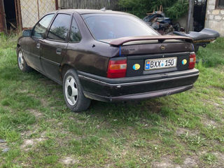 Opel Vectra foto 6