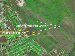 Vind teren agricol 0,60Ha Orhei foto 2