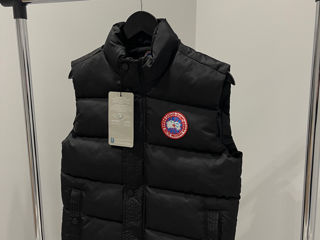 Vestă Jaletă Жилетка Canada Goose