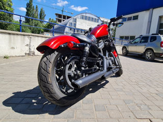 Harley - davidson iron 883 foto 5