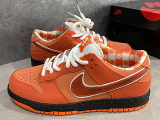 Nike SB Dunk Low Orange Lobster Unisex foto 2