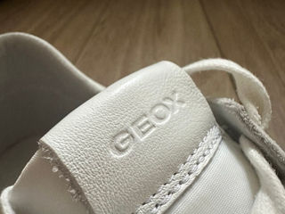 Geox foto 6