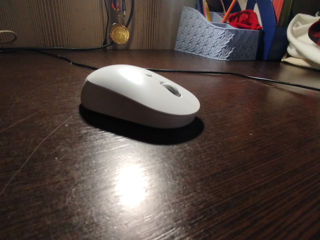 Mouse