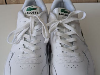 Lacoste 43 foto 2