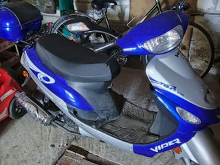 Viper Xxxx фото 0