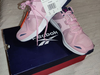 Reebok   Endless Road Ld99
