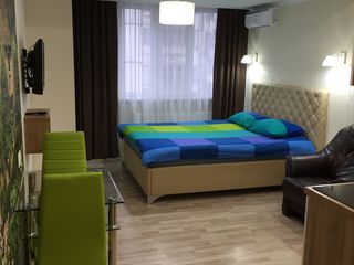 Apartament cu 1 cameră, 45 m², Centru, Chișinău, Chișinău mun. foto 7