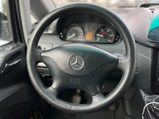 Mercedes Viano foto 9