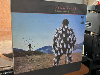 Pink Floyd, Delicate sound of Thunder