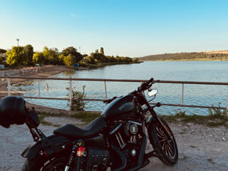 Harley - Davidson Iron 883 foto 2