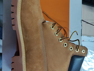 Timberland foto 3