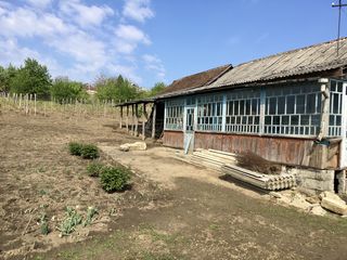 Vind casa - teren 23 ari in orasul Nisporeni /schimb pe apartament cu 3 camere in Chisinau foto 8