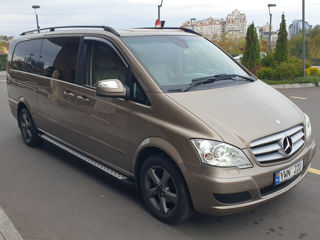 Mercedes Viano