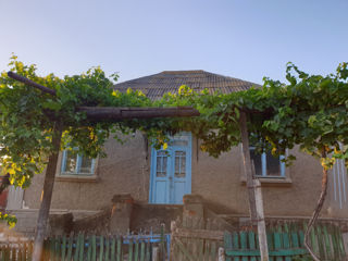 Se vinde casă , satul Hîjdieni r-ul Orhei foto 3