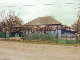 Дом в с. Алексеевка foto 3