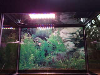Продам новый аквариум. foto 4