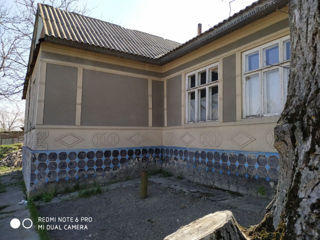 Se vinde casă în s.Vărvăreuca, r. Florești, Продается дом в селе Варваревка, Флорештский район foto 6