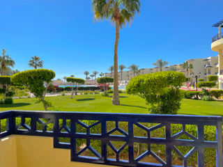 Egypt! Sharm! Grand Oasis Resort 4+! Din 13.09 - 6 nopti! фото 6