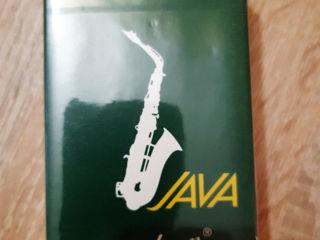 Ancii sax. N 2,5