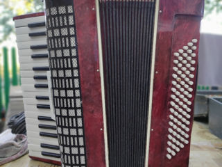 Acordeon Romasca foto 2