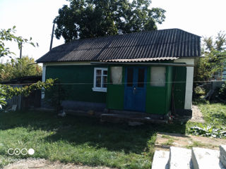 Продам два дома в селе Тырново foto 3