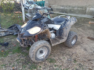 Boss ATV E-ton 250 cm3 foto 2