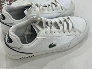 Ghete Lacoste Originale