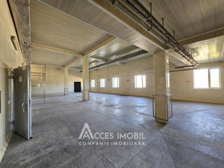 Chirie! Spațiu comercial 1800m2, Criuleni, Măgdăcești! foto 2