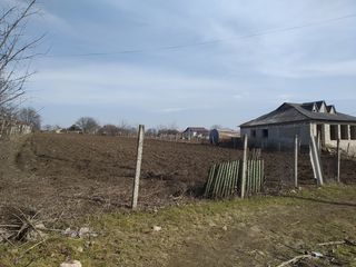 Se vinde un teren pentru construcție în satul Holercani raionul Dubăsari. foto 2